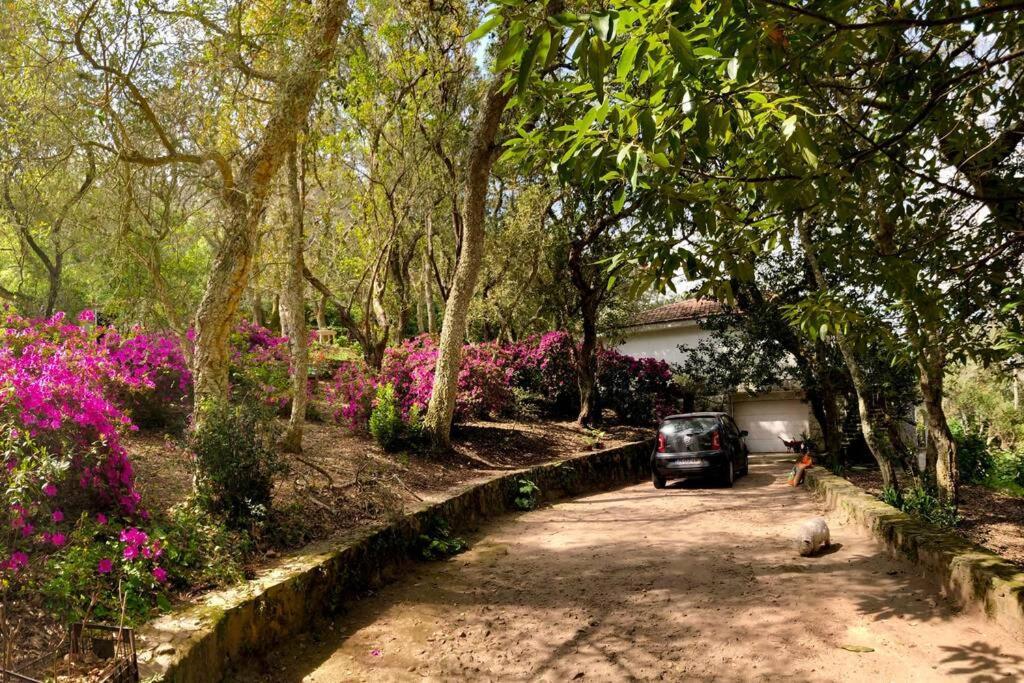 Quinta Biologica, Com Vista, Na Serra De Sintra Exterior foto