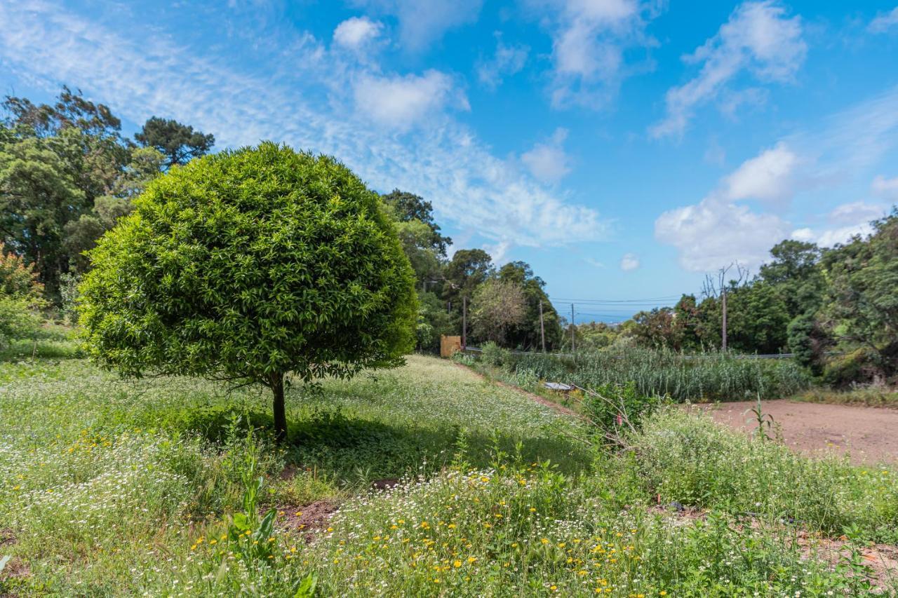 Quinta Biologica, Com Vista, Na Serra De Sintra Exterior foto